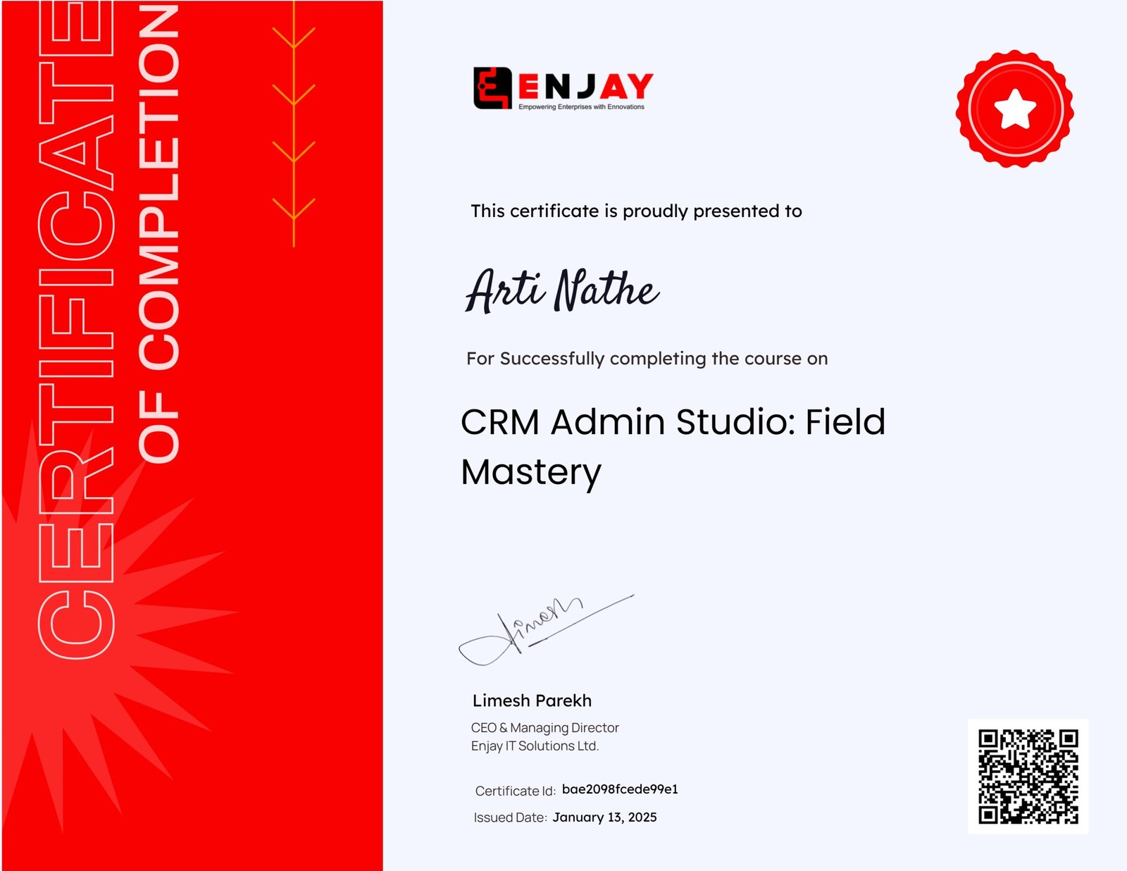 CRM Admin Studio Field Mastery 2 scaled